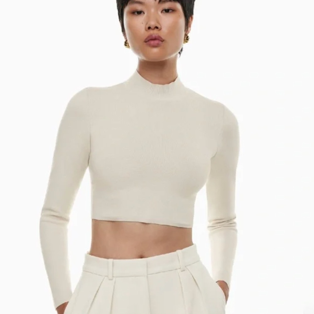 Aritzia Babaton Sculpt Knit turtleneck crop long sleeve